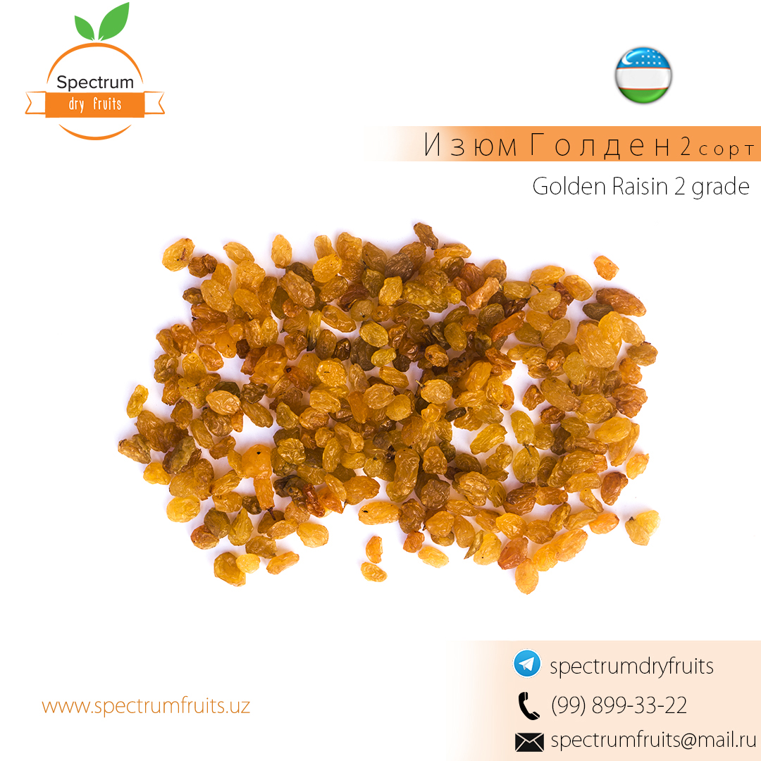 Raisins Golden 2nd grade