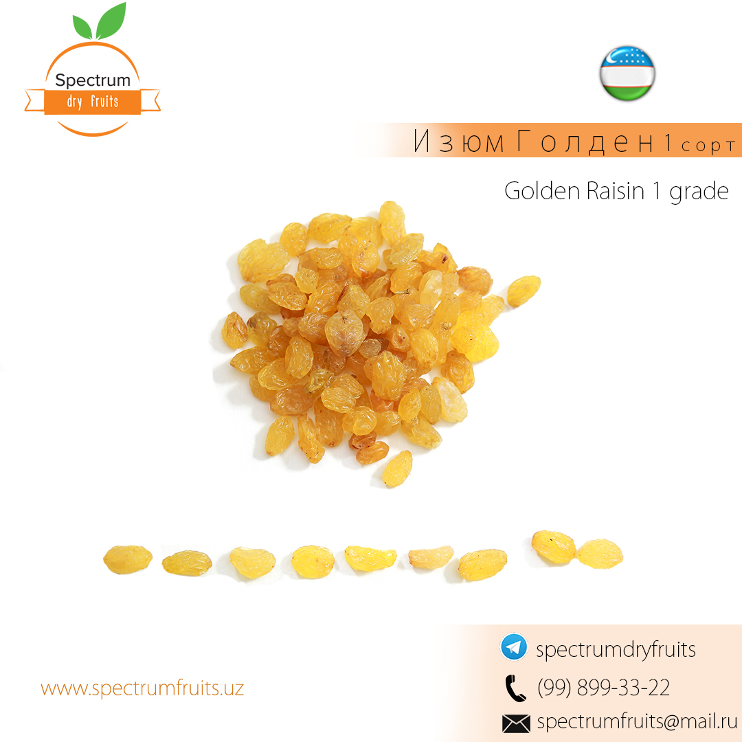 Golden raisin (1st grade) from Uzbekistan