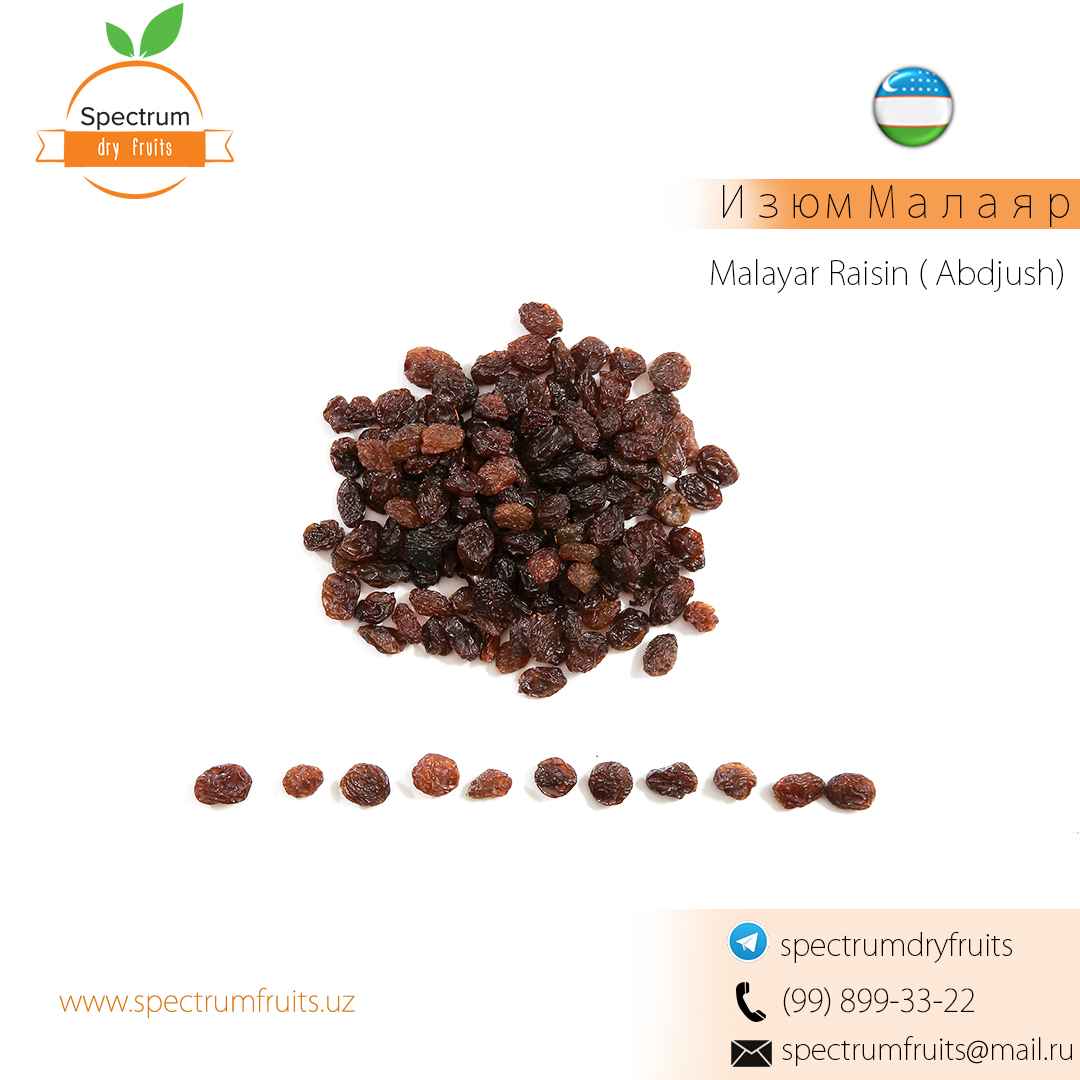 Raisins Malayar from Uzbekistan