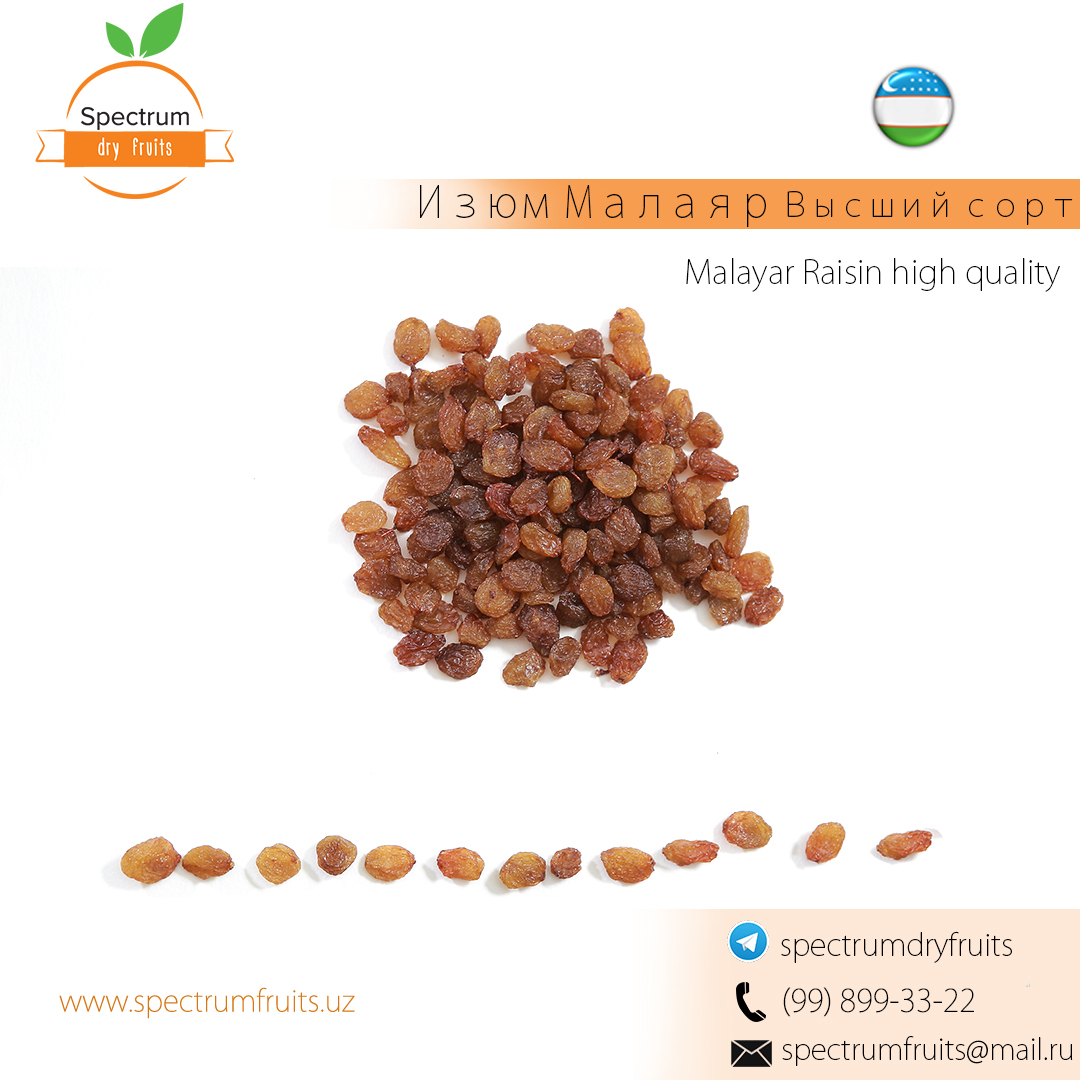 Raisins Malayar Terma from Uzbekistan
