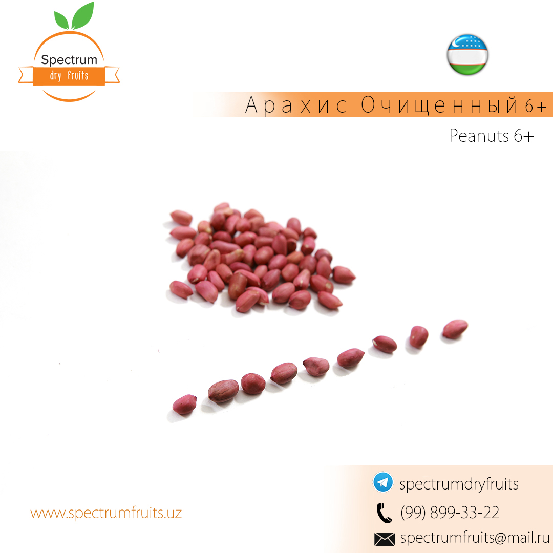 Peanut Peeled from Uzbekistan