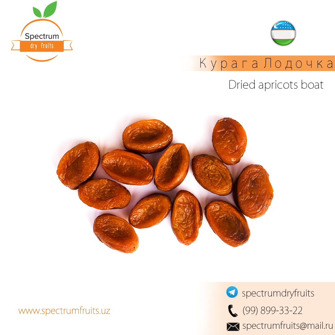 Dried apricots Boat
